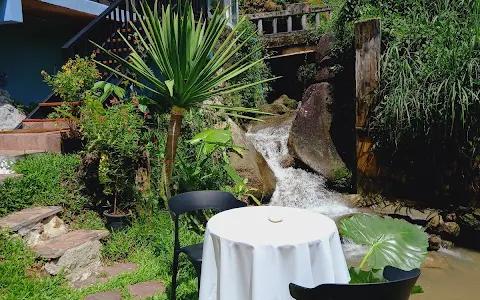 Jungle Cafe image