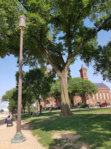 Museum «Smithsonian Castle», reviews and photos, 1000 Jefferson Dr SW, Washington, DC 20560, USA