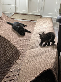 Carpet Barn Liquidation Center - Photo 3 - Car repair in Spokane Valley, WA, Spokane Valley