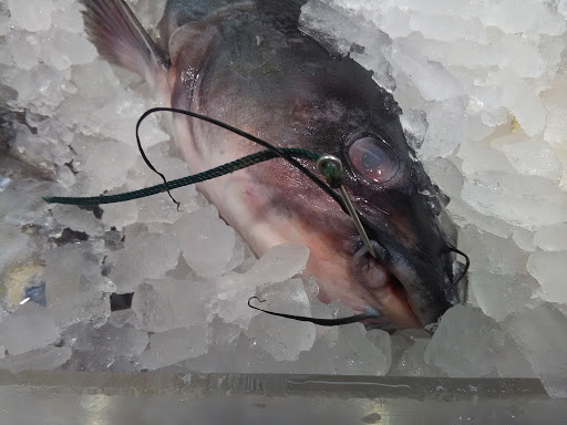 Supermarket «Western Beef Supermarket», reviews and photos, 2040 Forest Ave, Staten Island, NY 10303, USA