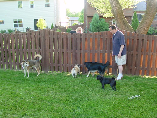 Dog Park «Mt. Airy Dog Park», reviews and photos, 3006 Westwood Northern Blvd, Cincinnati, OH 45211, USA