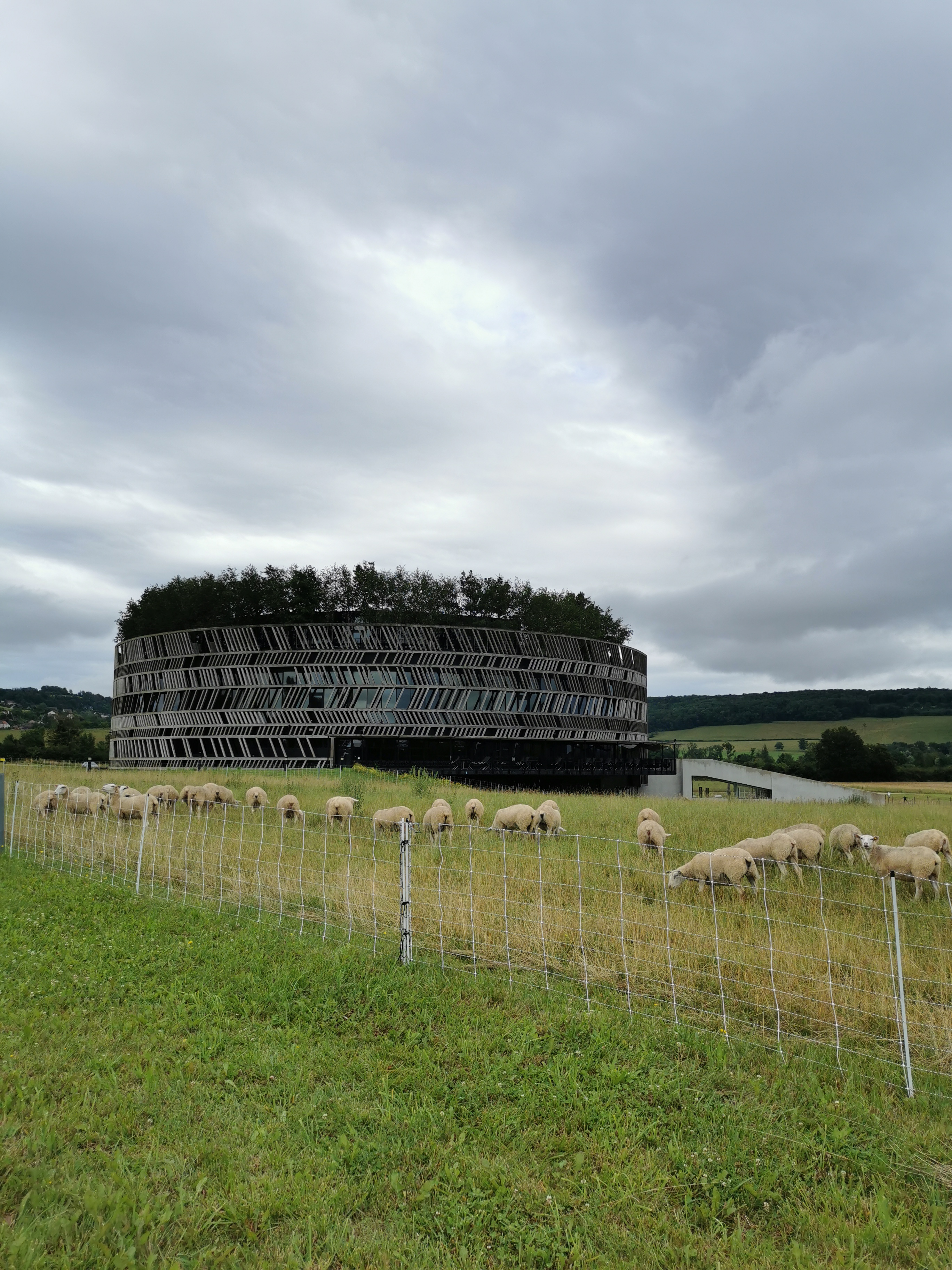 Photo n° 1 de l'avis de Laurie.o fait le 26/07/2021 à 19:31