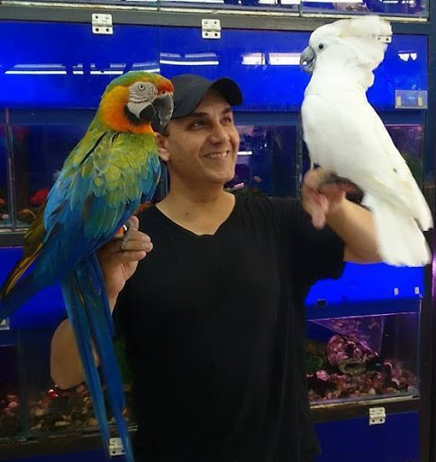 Bird shops Tel Aviv