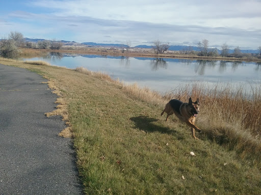 Golf Course «Headwaters Public Golf Course», reviews and photos, 225 N 7th Ave E, Three Forks, MT 59752, USA