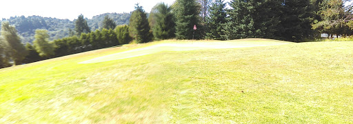 Golf Course «Mint Valley Golf Course», reviews and photos, 4002 Pennsylvania St, Longview, WA 98632, USA