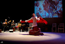 Flamenco Medialuna Saint-Martin-d'Hères