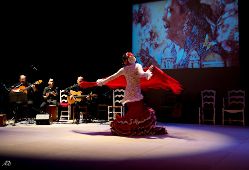 Flamenco Medialuna à Saint-Martin-d'Hères