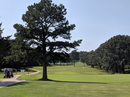 Golf Club «Coopers Hawk Golf Club», reviews and photos, AR-69 Spur, Melbourne, AR 72556, USA