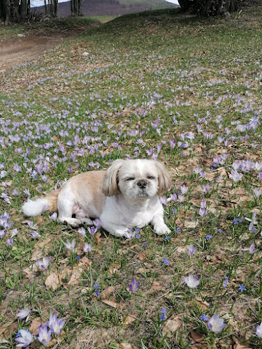 Κτηνιατρείο - Pecon Vet Clinic / DVM MSc Ζωή Μ. Θώμου - Κοζάνη