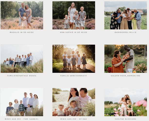 https://momentyfotografie.pic-time.com/client
