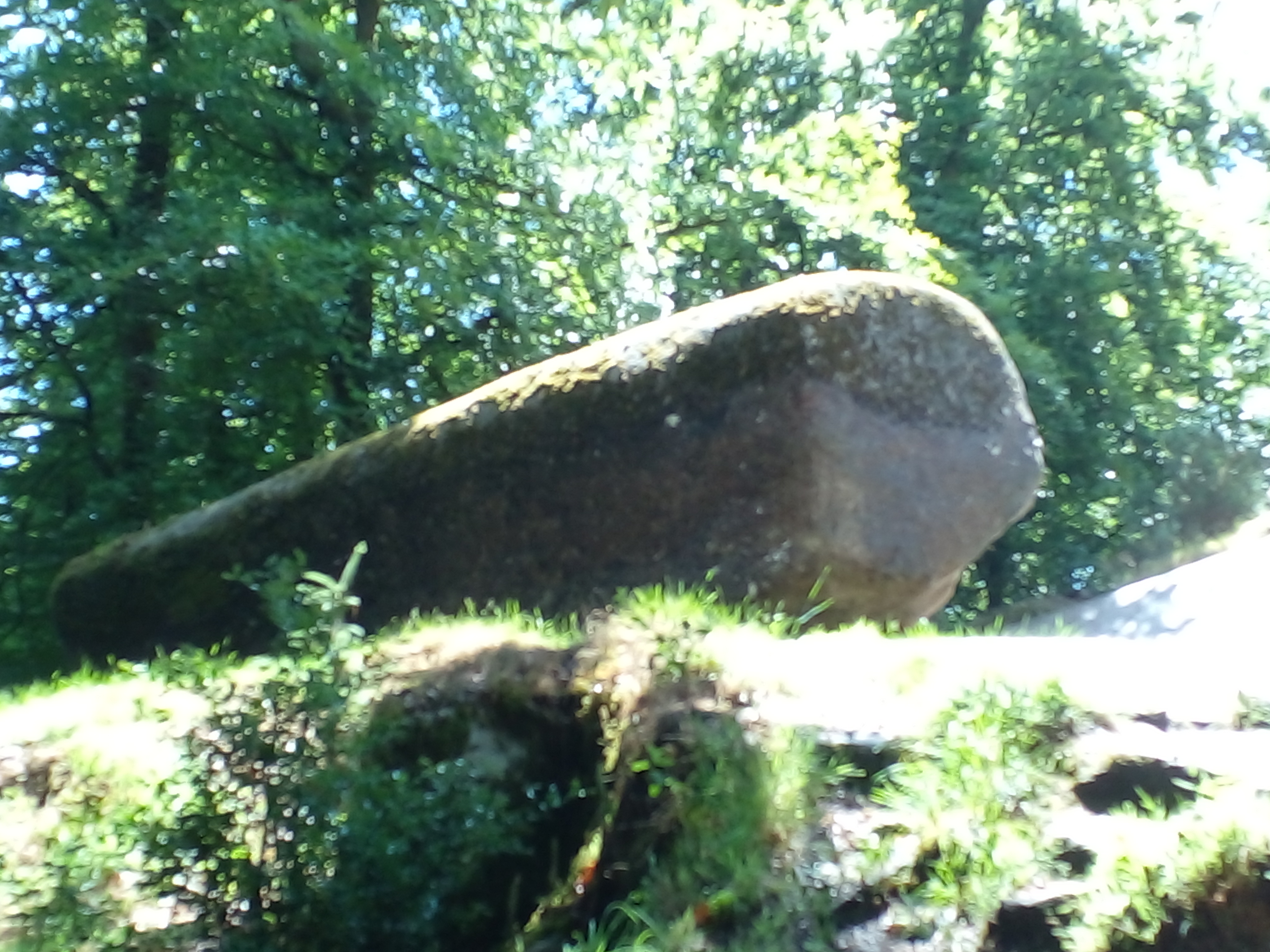 Photo n° 4 de l'avis de R. fait le 25/06/2022 à 17:30