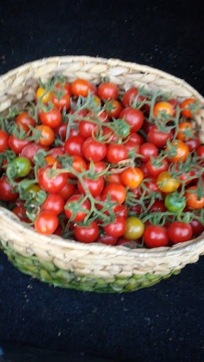 Florist «Loose Caboose LLC», reviews and photos, 18492 E Telegraph Rd, Santa Paula, CA 93060, USA