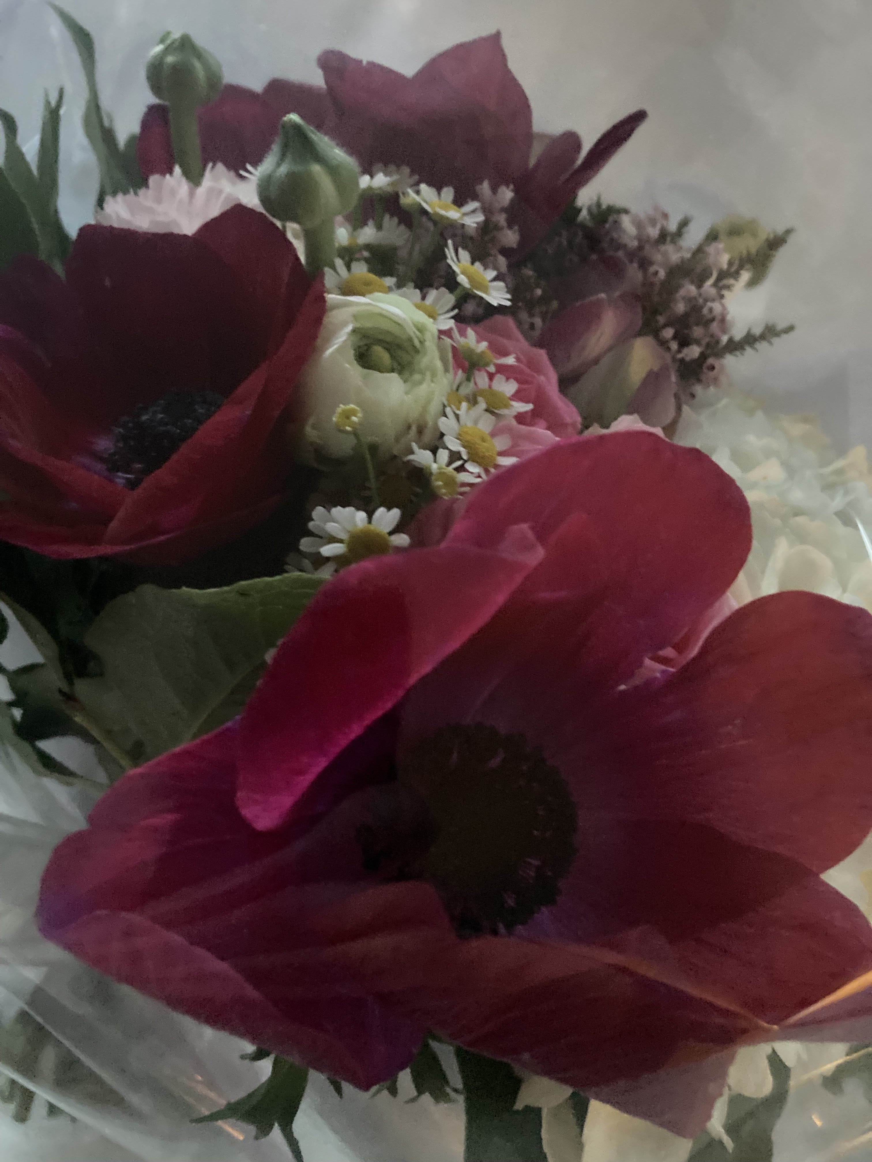 Photo n° 2 de l'avis de Denis.a fait le 23/03/2024 à 18:19