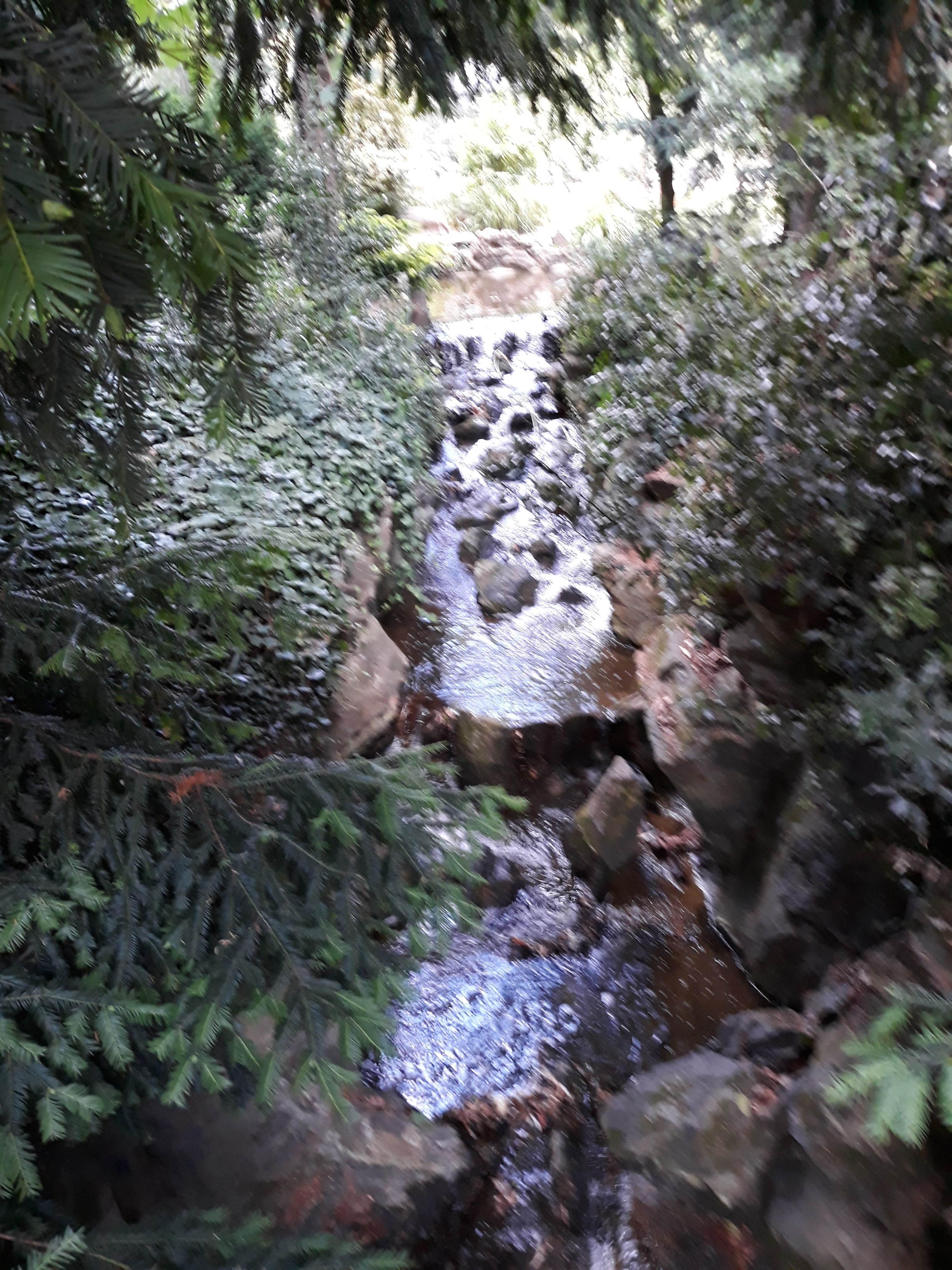 Photo n° 6 de l'avis de Thomas.e fait le 14/07/2019 à 16:51