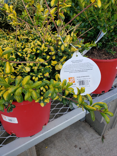 Home Improvement Store «The Home Depot», reviews and photos, 2075 Pipestone Rd, Benton Harbor, MI 49022, USA