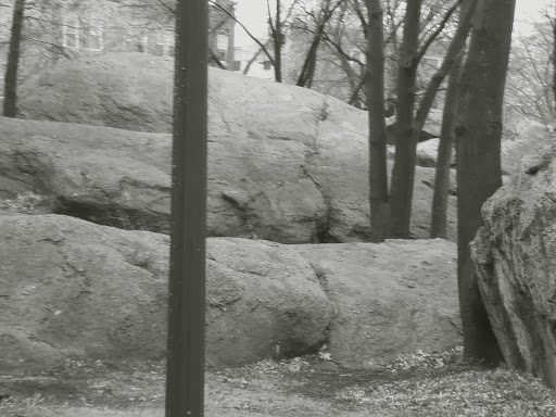 Park «Horatio Harris Park», reviews and photos, 85 Harold St, Boston, MA 02119, USA