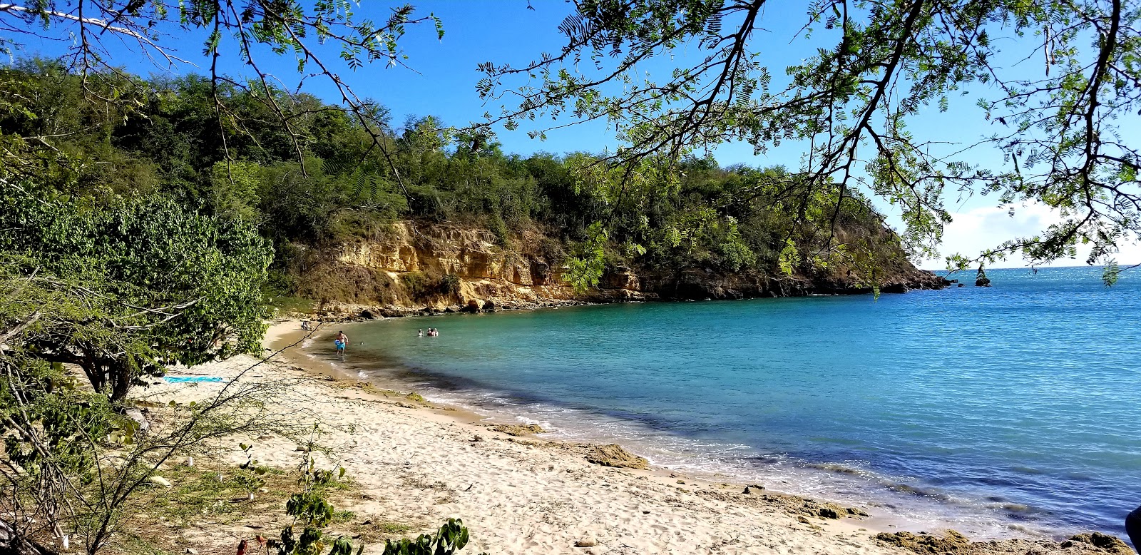 Playa Jaboncillo的照片 带有直岸