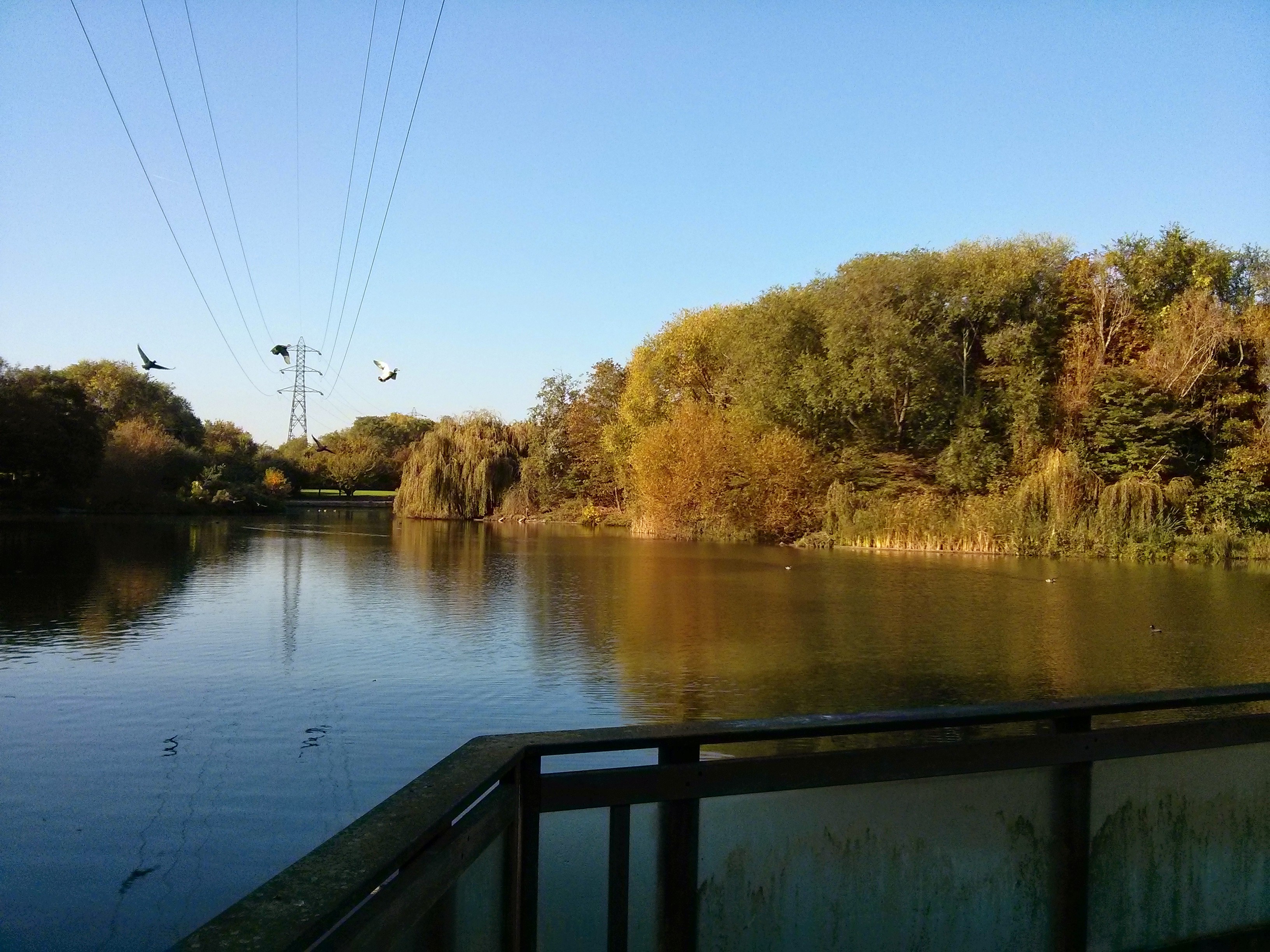 Photo n° 5 de l'avis de G..o fait le 15/08/2017 à 17:20