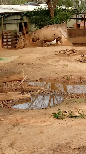 Recreation Center «Clayton County Parks & Recreation», reviews and photos, 2300 State Highway 138, Jonesboro, GA 30236, USA