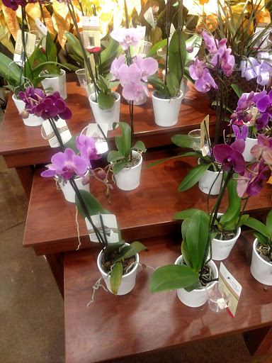 Grocery Store «Kroger», reviews and photos, 125 Towne Dr, Bluffton, SC 29910, USA