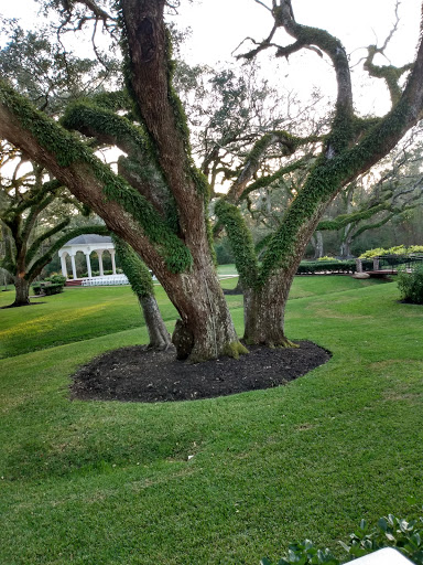 Wedding Venue «THE SPRINGS Event Venue», reviews and photos, 1950 County Road 220, Angleton, TX 77515, USA