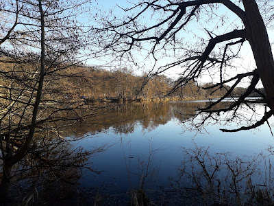 Creutzwald G.R. à Creutzwald