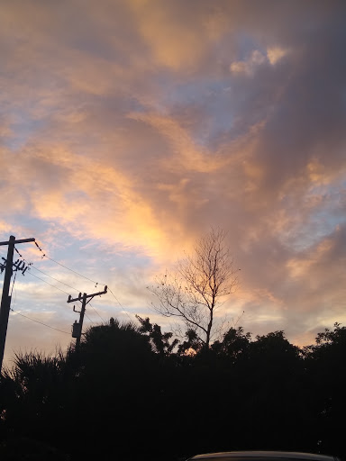 General Contractor «Jr. Davis Construction Company, Inc.», reviews and photos, 210 S Hoagland Blvd, Kissimmee, FL 34741, USA