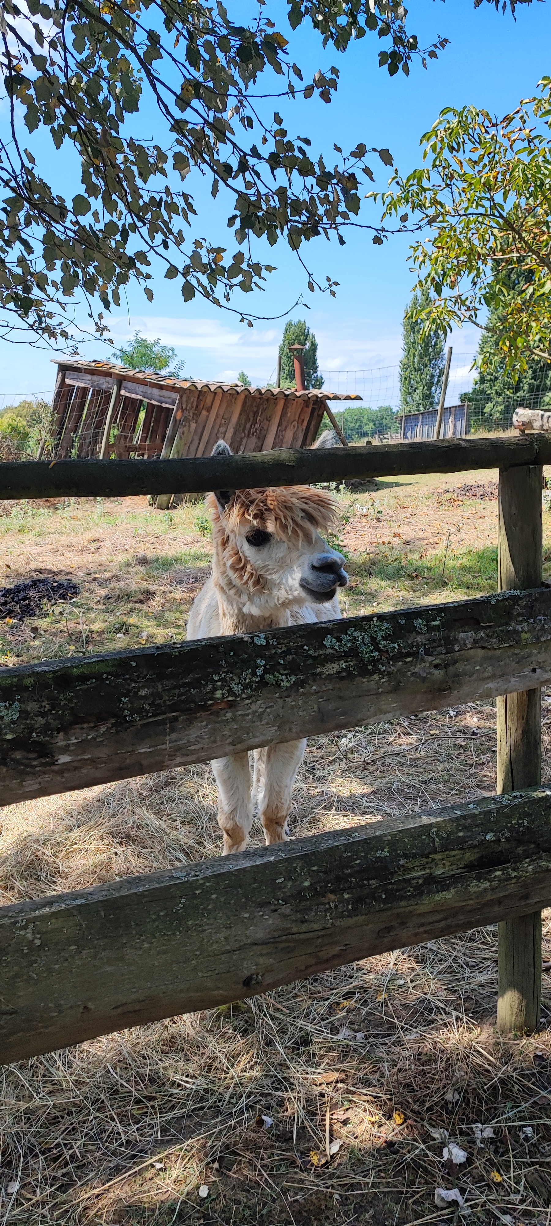 Photo n° 9 de l'avis de Florence.e fait le 15/08/2023 à 17:20