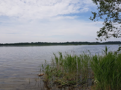 Klooga järv