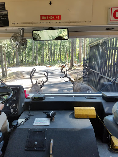 Zoo «Northwest Trek Wildlife Park», reviews and photos, 11610 Trek Dr E, Eatonville, WA 98328, USA