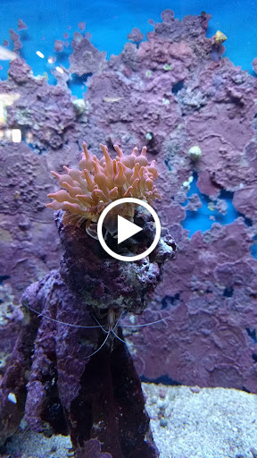 Pet Store «Fish 4 U», reviews and photos, 4010 Highland Dr #1, Millcreek, UT 84124, USA