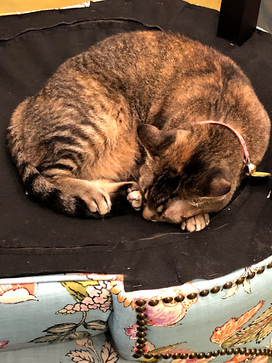 Stationery Store «Girl General», reviews and photos, 11255 Huebner Rd #101, San Antonio, TX 78230, USA