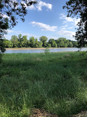 Coin pêche bbq à Sainte-Gemmes-sur-Loire