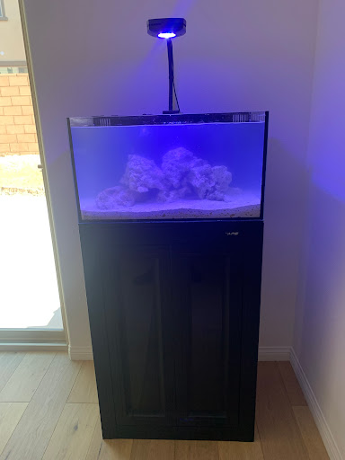 Pet Store «Tropical Reef Fish Store», reviews and photos, 11940 E Foothill Blvd #108, Rancho Cucamonga, CA 91739, USA