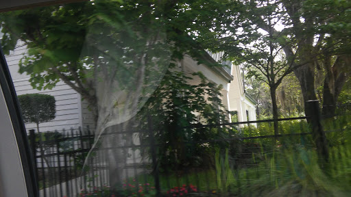 Festival «Spirit of the Suwannee Music Park», reviews and photos, 3076 95th Dr, Live Oak, FL 32060, USA