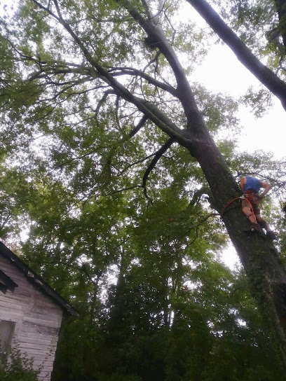 B.I.C Tree Service
