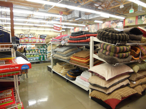 Pet Supply Store «Pet Food Express», reviews and photos, 5829 Lone Tree Way, Antioch, CA 94531, USA