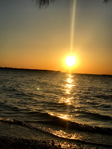 Gift Shop «She Sells Sea Shells», reviews and photos, 1157 Periwinkle Way, Sanibel, FL 33957, USA