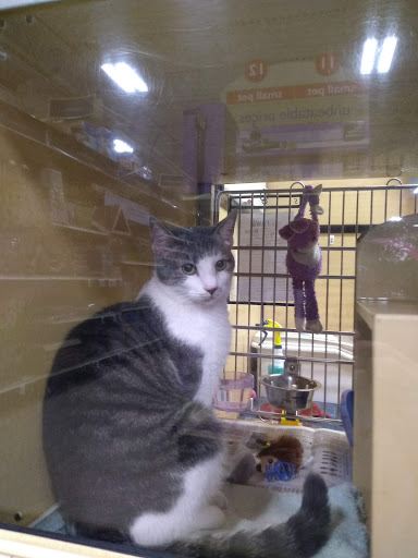 Pet Supply Store «PetSmart», reviews and photos, 637 Woodbury Glassboro Rd, Sewell, NJ 08080, USA