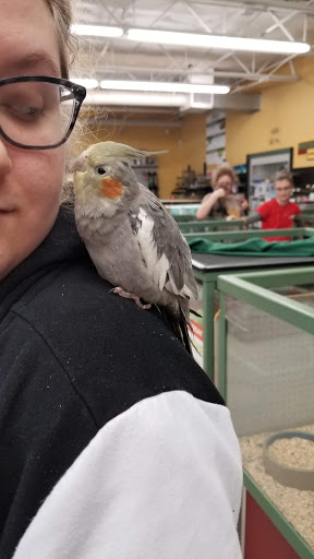 Pet Store «Petland Plano», reviews and photos, 1301 Custer Rd #405, Plano, TX 75075, USA