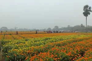 Khirai Flowers Garden image