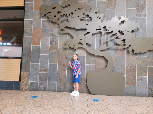 Department Store «T.J. Maxx», reviews and photos, 95 Storrs Rd, Willimantic, CT 06226, USA