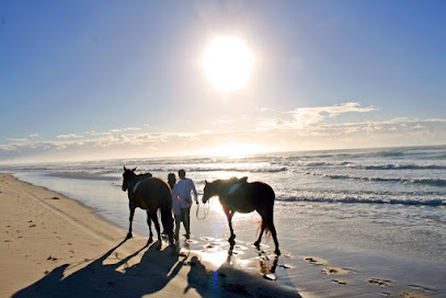 Tassiriki Ranch Beach Horse Riding & Holiday Cabins