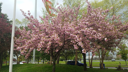 Park «Veterans Park», reviews and photos, 1 Naval Park Cove, Buffalo, NY 14202, USA