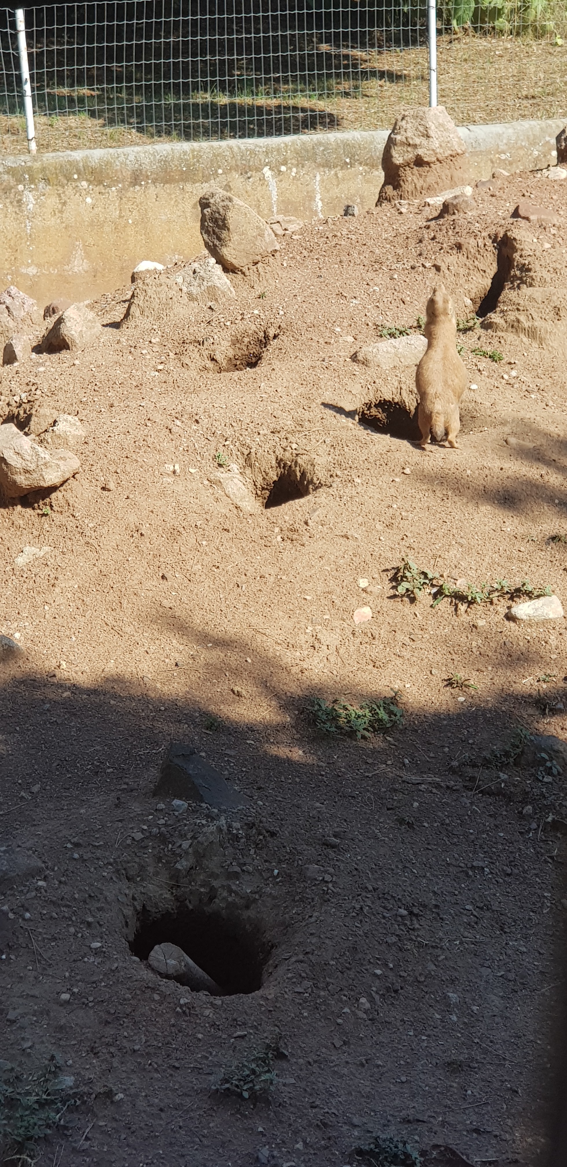 Photo n° 17 de l'avis de stephanie.a fait le 05/08/2018 à 15:29