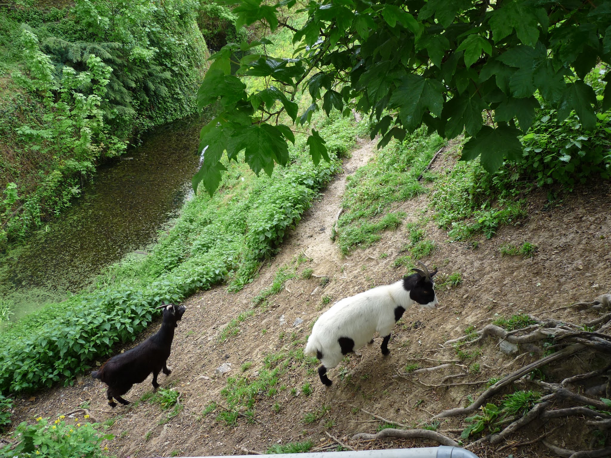 Photo n° 7 de l'avis de Guillaume.i fait le 16/05/2019 à 19:52