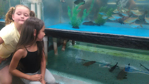 Pet Supply Store «Global Aquatics & Pet Supplies», reviews and photos, 1420 S Carlos Ave, Ontario, CA 91761, USA