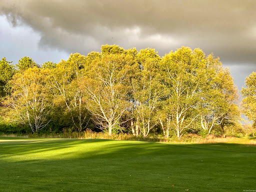 Golf Course «Dretzka Park Golf Course», reviews and photos, 12020 W Bradley Rd, Milwaukee, WI 53224, USA