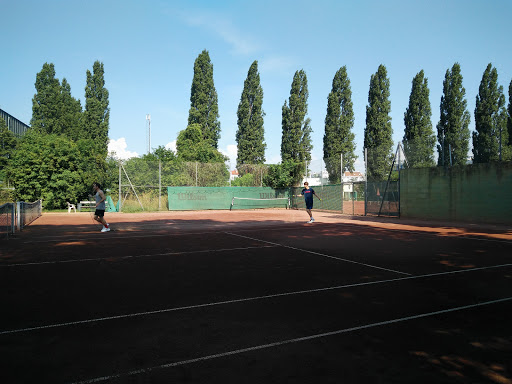 Tennisanlagen Donaufeld