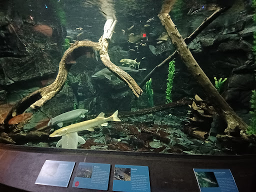 Science Museum «ECHO, Leahy Center for Lake Champlain», reviews and photos, 1 College St, Burlington, VT 05401, USA